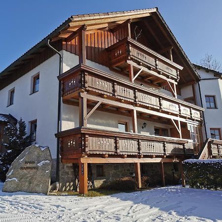 Haus Haidweg - Ferienwohnungen In Haidmuehle Im Dreilaendereck De-Cz-At Eksteriør bilde