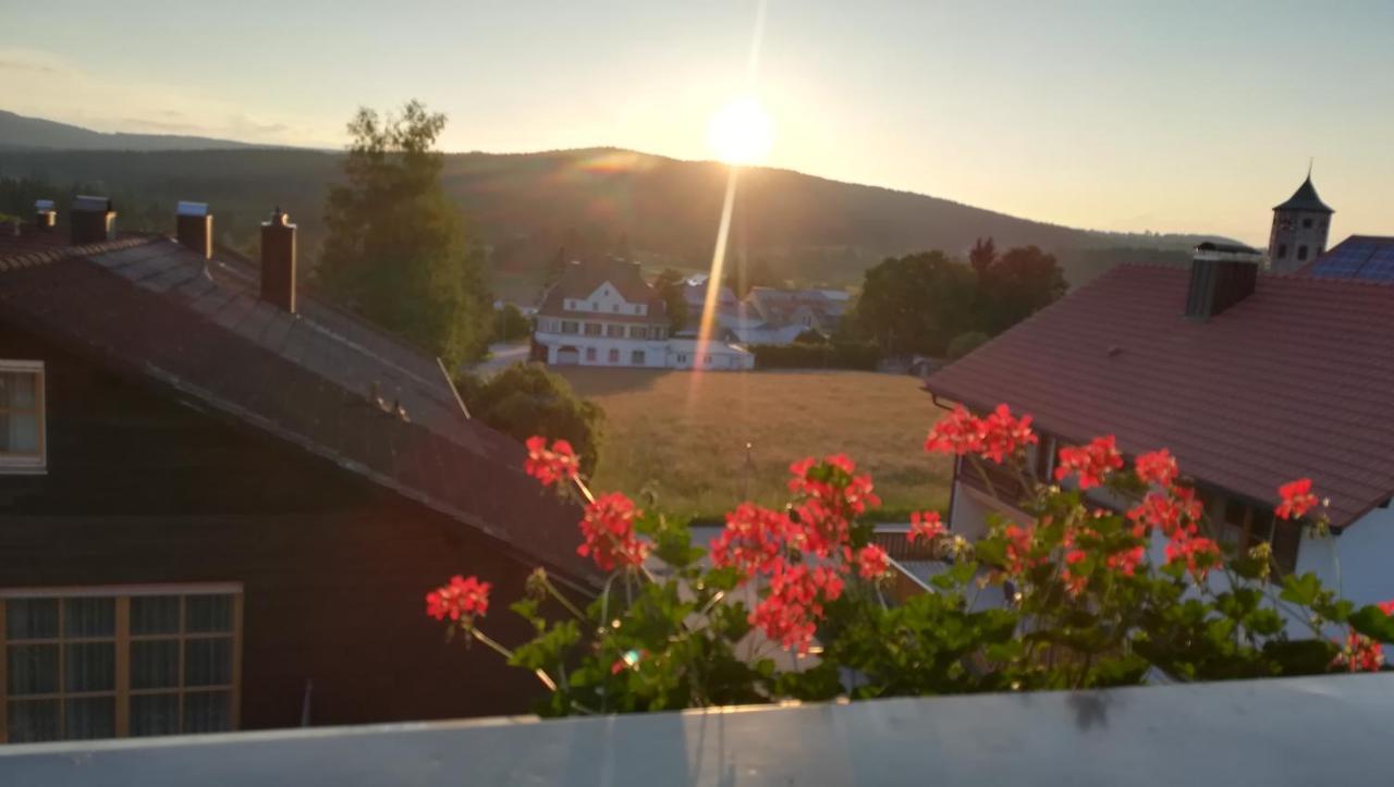 Haus Haidweg - Ferienwohnungen In Haidmuehle Im Dreilaendereck De-Cz-At Eksteriør bilde