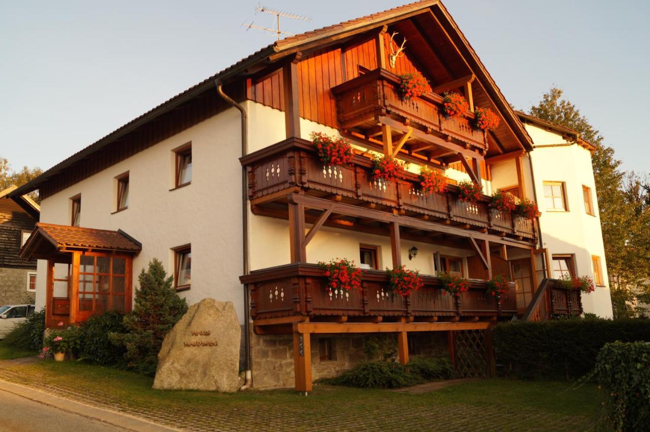 Haus Haidweg - Ferienwohnungen In Haidmuehle Im Dreilaendereck De-Cz-At Eksteriør bilde